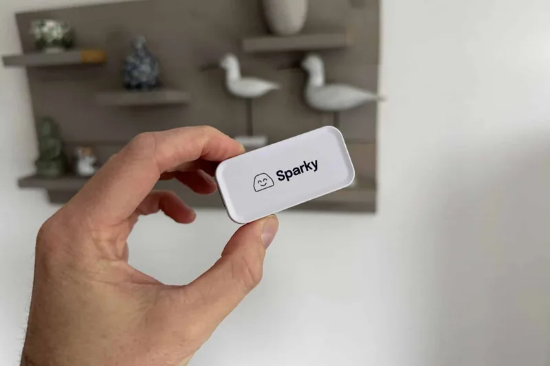 Chargee Sparky P1-meter