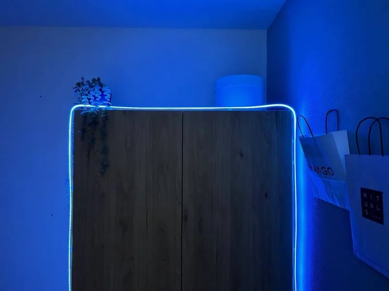 Review Hombli Smart Neon Rope