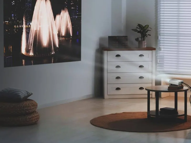 Nor-tec projector Action