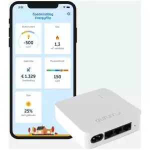 Energy Flip P1-meter