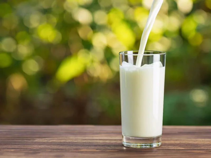Vibmilk - melk